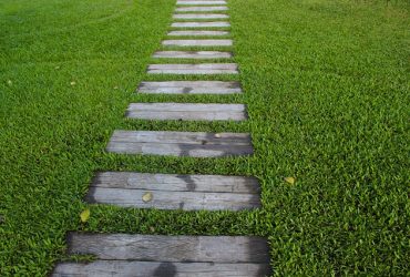 How to Design Your Backyard with Less Stress