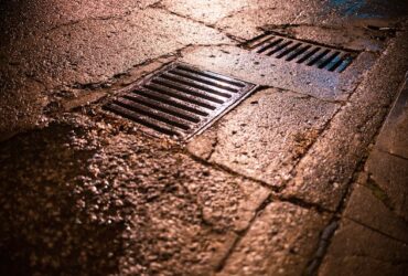 How Do You Tell if You Have Roots in Your Pipes?